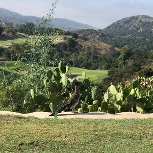 Meet your Posher, Bryan